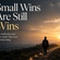 Small Wins Are Still Wins