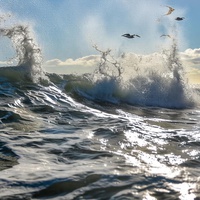 The path through the waters