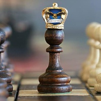 Every Queen starts as a pawn.