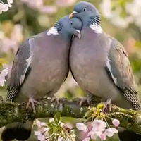 Weather for Two