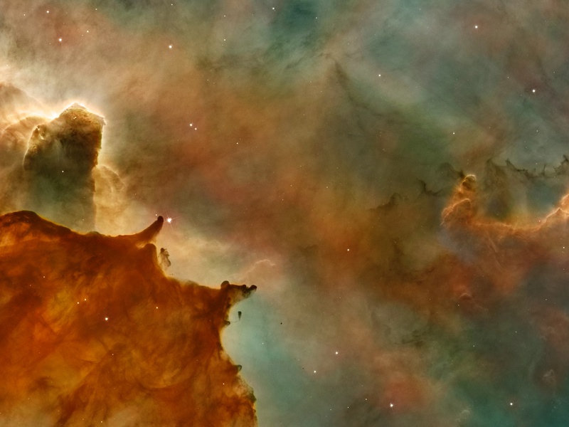 insight image