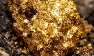 YOU ARE GOLDMINE...