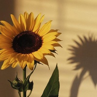 "YOU DON'T HAVE TO AGREE, BUT YOU MUST LEARN TO RESPECT"