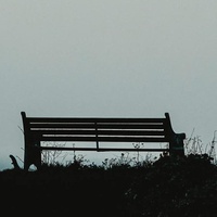 Left Behind
