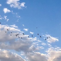 LOOK BEYOND LIMITATIONS