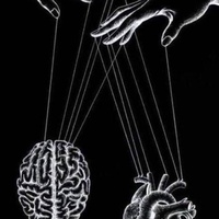 Hollow Mentality: A letter to “You.”