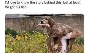 Something to learn