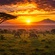 THE BEAUTY OF THE AFRICAN DAWN