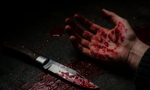 SO, WHO KILLED MADAM?
