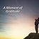 A Moment of Thanksgiving - Happy Thanksgiving