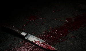 WHO, KILLED MADAM (Kitchen series)