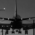 insight image