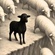 "BLACK SHEEP"