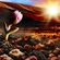 "The smallest seed grew against all odds"
