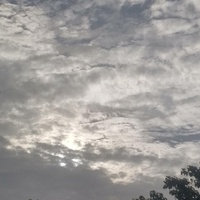 Have You Seen The Sky?