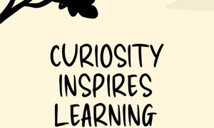 30 Days of Becoming Curious Again
