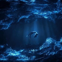 BEAUTIFUL SUSPENSE