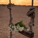 Losses that are not necessarily deaths