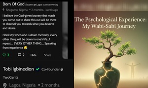 The Experience. My Wabi-Sabi journey _ Final part (The Stone the Builders rejected)