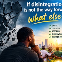 IF DISINTEGRATION IS NOT PERMITTED, WHAT ELSE?🤔