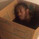 FIVE STARS, ONE FUNERAL