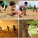 Childhood memories