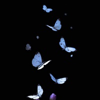 What I Wanted To Tell Someone