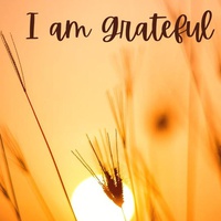 Dear human, Episode 5: Counting my blessings