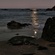 The Seaside