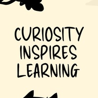 30 Days of Becoming Curious Again