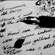 THE INK OF THE NIGHT:A survivor's Autopsy