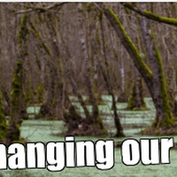 changing the world