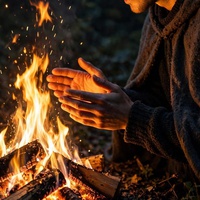 THE FIRE 🔥