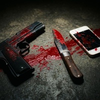 WHO KILLED MADAM (Truth unfolding)