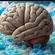 The Hidden Dangers of Microplastics in Your Body: What We Know So Far