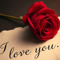 NOTHING FOREVER