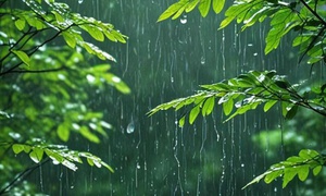 Rain