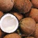 Life Is Like a Coconut 🥥