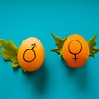 THE QUEST FOR GENDER (IM)BALANCE