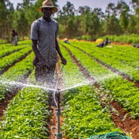 The Boy Who Planted WiFi In The Soil