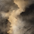 insight image