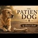 The Patient dog