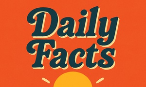 Ten Random and Interesting Facts you can learn from💡