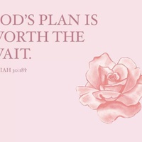 Dear human, Episode 4: God's timing is worth the wait.