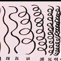 HAIR PALAVA