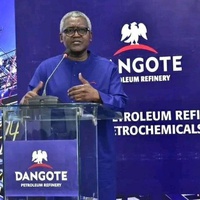 THE DANGOTE EFFECT