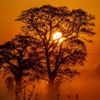THE SUN