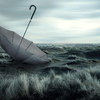 A Stranger To My Own Tenderness