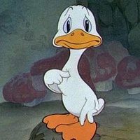Am I Really that Pretty?