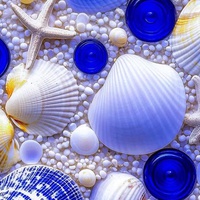 YELLOW COWRY 💛(love till eternity)